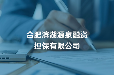 合肥尊龙网址登陆官网源泉融资担保有限公司