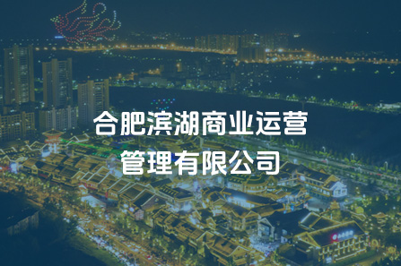 合肥尊龙网址登陆官网商业运营治理有限公司