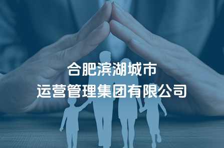合肥尊龙网址登陆官网都会运营治理集团有限公司