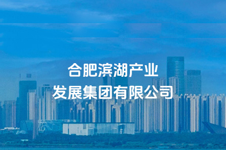 合肥尊龙网址登陆官网工业生长集团有限公司